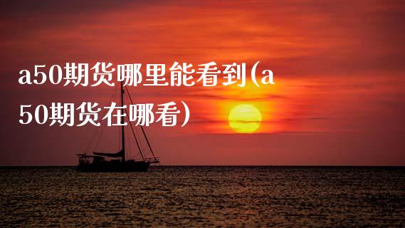 a50期货哪里能看到(a50期货在哪看)_https://www.zztgc.com_期货入门_第1张