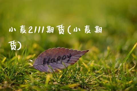 小麦2111期货(小麦期货)_期货入门_第1张_珍投期货网 小麦2111期货(小麦期货)_https://www.zztgc.com_期货入门_第1张