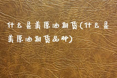 什么是美原油期货(什么是美原油期货品种)_https://www.zztgc.com_期货入门_第1张