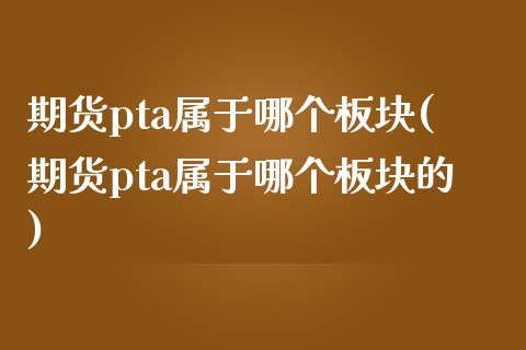 期货pta属于哪个板块(期货pta属于哪个板块的)_https://www.zztgc.com_期货入门_第1张