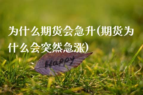 为什么期货会急升(期货为什么会突然急涨)_https://www.zztgc.com_期货入门_第1张