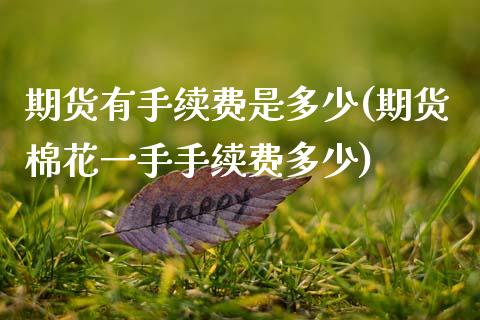 期货有手续费是多少(期货棉花一手手续费多少)_https://www.zztgc.com_期货开户_第1张