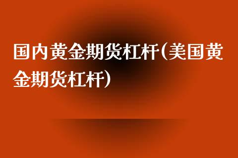 国内黄金期货杠杆(美国黄金期货杠杆)_https://www.zztgc.com_黄金期货_第1张