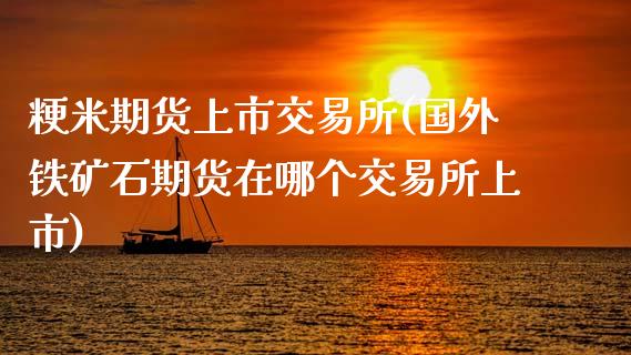 粳米期货上市交易所(国外铁矿石期货在哪个交易所上市)_https://www.zztgc.com_期货入门_第1张
