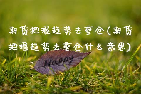 期货把握趋势去重仓(期货把握趋势去重仓什么意思)_https://www.zztgc.com_期货入门_第1张