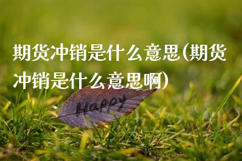 期货冲销是什么意思(期货冲销是什么意思啊)_原油期货_第1张_珍投期货网 期货冲销是什么意思(期货冲销是什么意思啊)_https://www.zztgc.com_原油期货_第1张