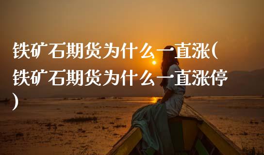 铁矿石期货为什么一直涨(铁矿石期货为什么一直涨停)_https://www.zztgc.com_期货入门_第1张
