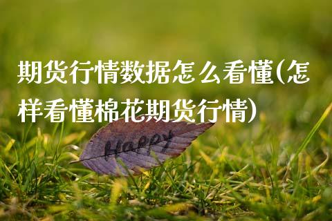 期货行情数据怎么看懂(怎样看懂棉花期货行情)_https://www.zztgc.com_期货开户_第1张