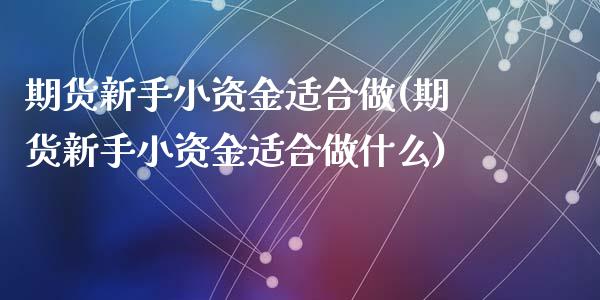 期货新手小资金适合做(期货新手小资金适合做什么)_https://www.zztgc.com_期货直播_第1张