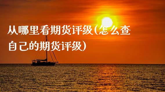 从哪里看期货评级(怎么查自己的期货评级)_https://www.zztgc.com_原油期货_第1张