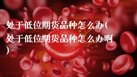 处于低位期货品种怎么办(处于低位期货品种怎么办啊)_https://www.zztgc.com_期货行情_第1张
