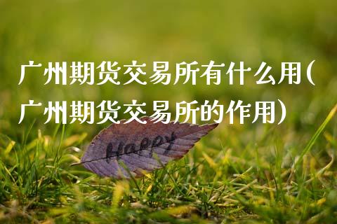 广州期货交易所有什么用(广州期货交易所的作用)_https://www.zztgc.com_原油期货_第1张
