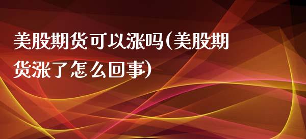 美股期货可以涨吗(美股期货涨了怎么回事)_https://www.zztgc.com_原油期货_第1张
