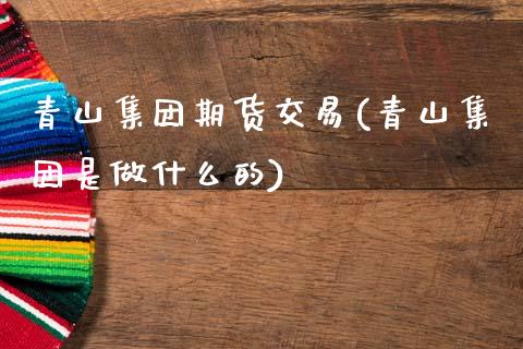青山集团期货交易(青山集团是做什么的)_https://www.zztgc.com_期货直播_第1张