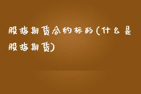 股指期货合约标的(什么是股指期货)_https://www.zztgc.com_期货行情_第1张