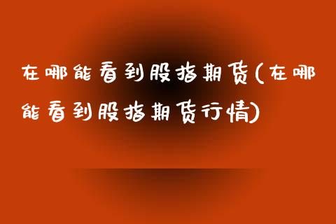 在哪能看到股指期货(在哪能看到股指期货行情)_https://www.zztgc.com_原油期货_第1张