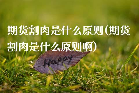 期货割肉是什么原则(期货割肉是什么原则啊)_https://www.zztgc.com_原油期货_第1张