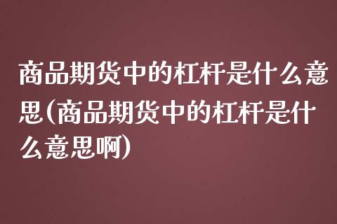 商品期货中的杠杆是什么意思(商品期货中的杠杆是什么意思啊)_https://www.zztgc.com_期货开户_第1张