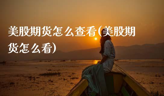 美股期货怎么查看(美股期货怎么看)_https://www.zztgc.com_期货行情_第1张
