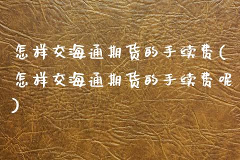 怎样交海通期货的手续费(怎样交海通期货的手续费呢)_https://www.zztgc.com_原油期货_第1张