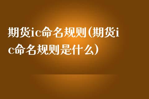 期货ic命名规则(期货ic命名规则是什么)_https://www.zztgc.com_期货入门_第1张