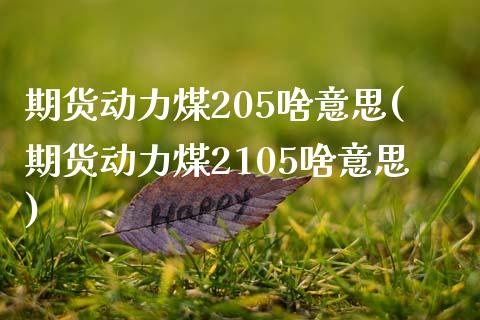 期货动力煤205啥意思(期货动力煤2105啥意思)_https://www.zztgc.com_原油期货_第1张