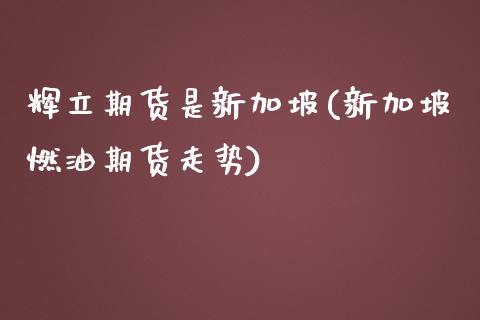 辉立期货是新加坡(新加坡燃油期货走势)_https://www.zztgc.com_期货入门_第1张