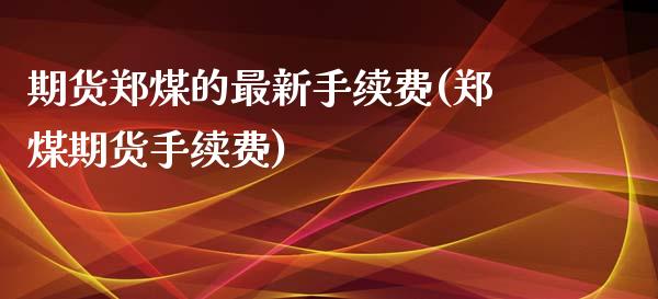 期货郑煤的最新手续费(郑煤期货手续费)_https://www.zztgc.com_期货入门_第1张