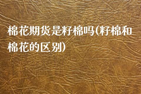 棉花期货是籽棉吗(籽棉和棉花的区别)_https://www.zztgc.com_黄金期货_第1张