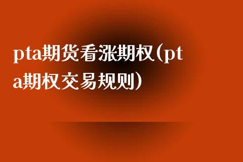 pta期货看涨期权(pta期权交易规则)_https://www.zztgc.com_黄金期货_第1张