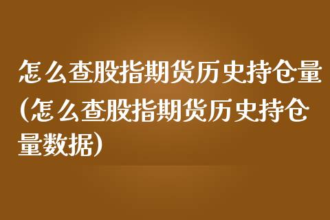 怎么查股指期货历史持仓量(怎么查股指期货历史持仓量数据)_https://www.zztgc.com_期货直播_第1张