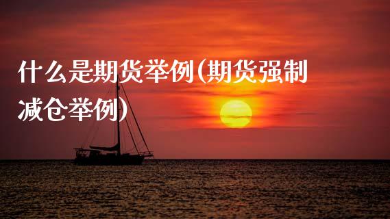 什么是期货举例(期货强制减仓举例)_https://www.zztgc.com_原油期货_第1张