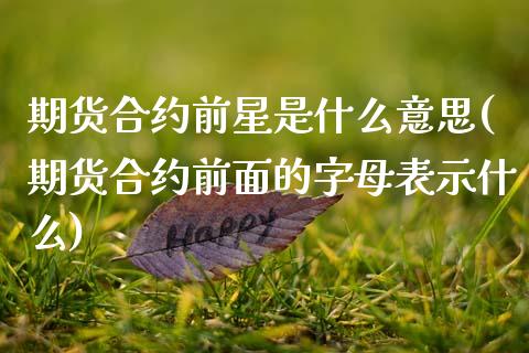 期货合约前星是什么意思(期货合约前面的字母表示什么)_https://www.zztgc.com_期货直播_第1张