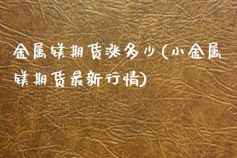 金属镁期货涨多少(小金属镁期货最新行情)_https://www.zztgc.com_期货直播_第1张