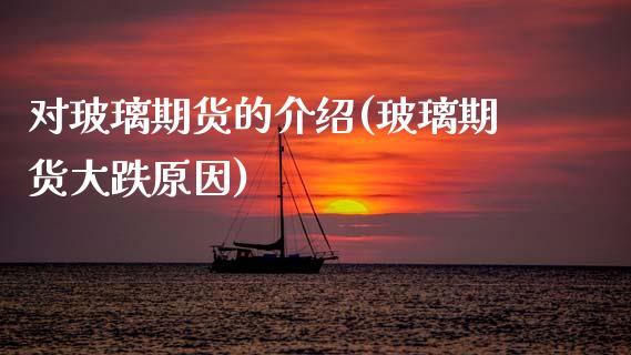 对玻璃期货的介绍(玻璃期货大跌原因)_https://www.zztgc.com_期货直播_第1张