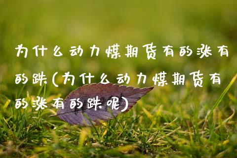 为什么动力煤期货有的涨有的跌(为什么动力煤期货有的涨有的跌呢)_https://www.zztgc.com_期货入门_第1张