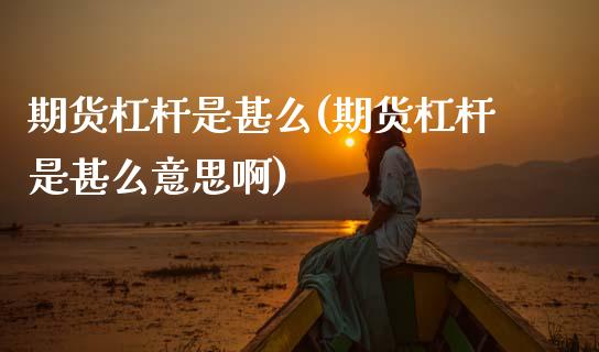 期货杠杆是甚么(期货杠杆是甚么意思啊)_https://www.zztgc.com_原油期货_第1张