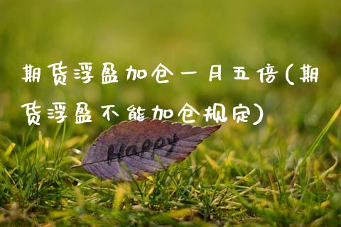 期货浮盈加仓一月五倍(期货浮盈不能加仓规定)_https://www.zztgc.com_期货行情_第1张