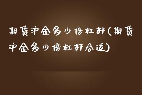 期货沪金多少倍杠杆(期货沪金多少倍杠杆合适)_https://www.zztgc.com_期货行情_第1张