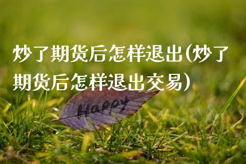 炒了期货后怎样退出(炒了期货后怎样退出交易)_https://www.zztgc.com_原油期货_第1张