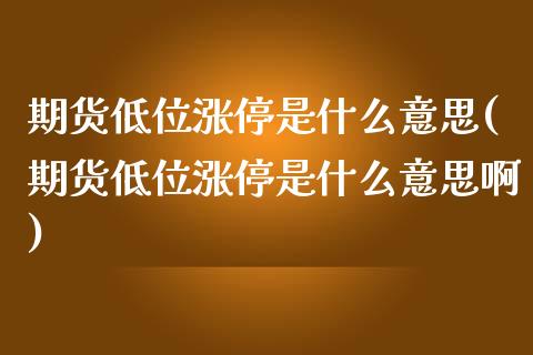 期货低位涨停是什么意思(期货低位涨停是什么意思啊)_https://www.zztgc.com_原油期货_第1张