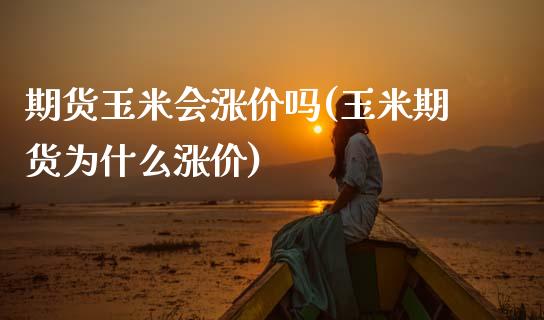 期货玉米会涨价吗(玉米期货为什么涨价)_https://www.zztgc.com_黄金期货_第1张