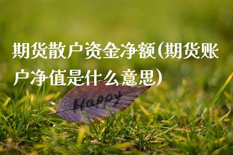 期货散户资金净额(期货账户净值是什么意思)_https://www.zztgc.com_期货行情_第1张