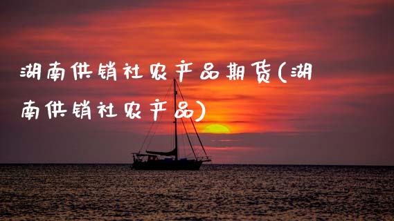 湖南供销社农产品期货(湖南供销社农产品)_https://www.zztgc.com_期货入门_第1张