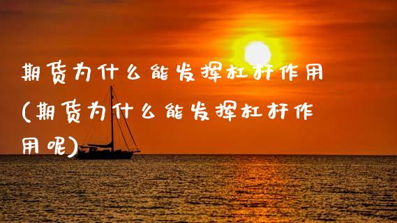 期货为什么能发挥杠杆作用(期货为什么能发挥杠杆作用呢)_https://www.zztgc.com_期货直播_第1张