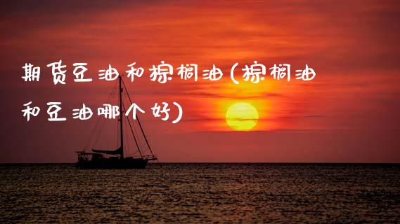 期货豆油和棕榈油(棕榈油和豆油哪个好)_https://www.zztgc.com_期货直播_第1张