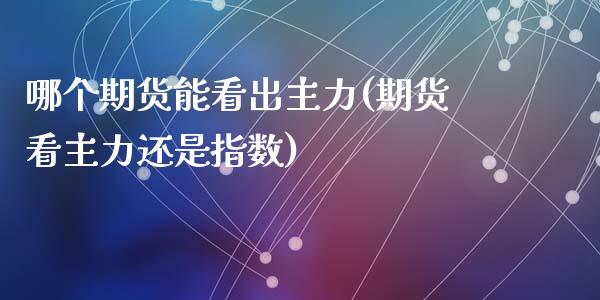 哪个期货能看出主力(期货看主力还是指数)_https://www.zztgc.com_期货入门_第1张