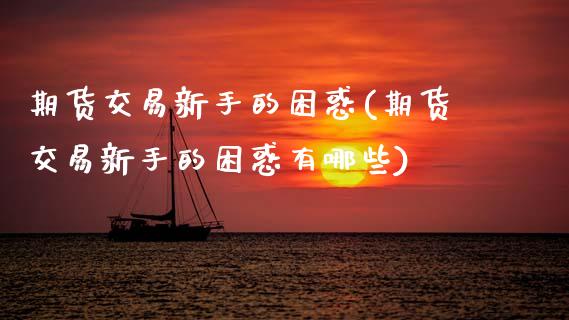 期货交易新手的困惑(期货交易新手的困惑有哪些)_https://www.zztgc.com_期货行情_第1张