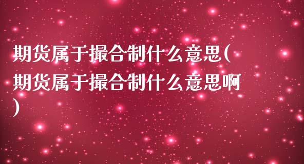 期货属于撮合制什么意思(期货属于撮合制什么意思啊)_https://www.zztgc.com_期货行情_第1张