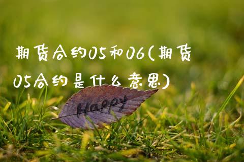 期货合约05和06(期货05合约是什么意思)_https://www.zztgc.com_期货直播_第1张